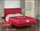 GUHDO Springbed